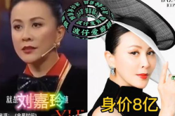 星娱乐圈,璀璨星辰闪耀舞台