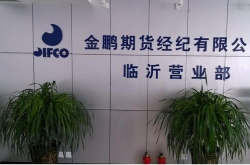 上海金鹏期货,引领期货市场，铸就金融辉煌