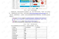 seo案例分析,揭秘成功优化策略与实战技巧