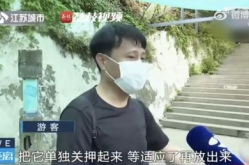 男朋友看网红吃瓜视频,揭秘娱乐圈幕后故事