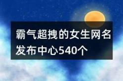 超个性网名,超个性网名的创意与魅力解析